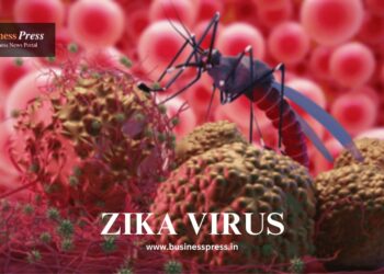 zika virus