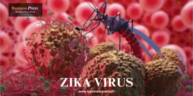 zika virus