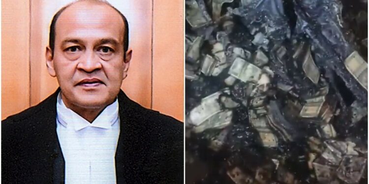 Judge