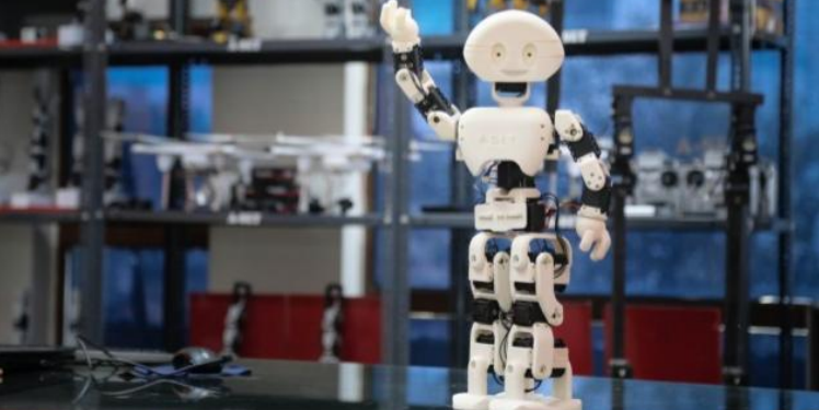 India humanoid robotics startups