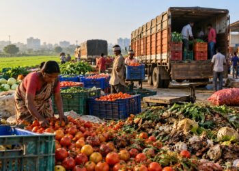 Food waste in India across the agricultural supply chain