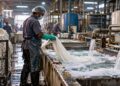 Panipat chemical safety and industrial worker protection in a textile bleaching facility